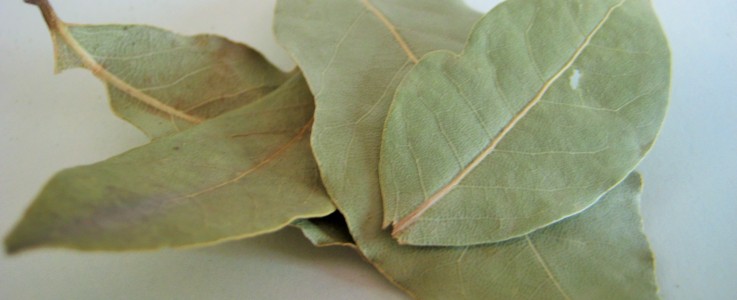 Rye Spice Bay Leaves