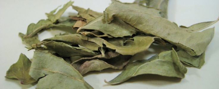 Rye Spice Curry Leaves