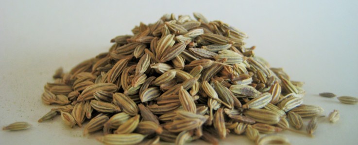 Rye Spice Fennel Seed